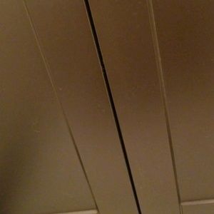 Meet your Posher, Gus